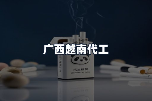 广西越南代工
